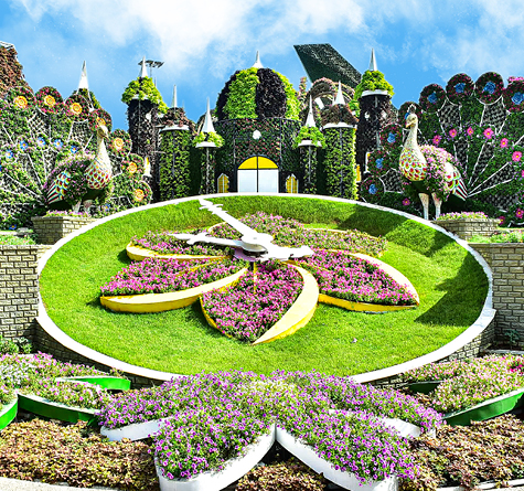 Dubai Miracle Garden, , medium